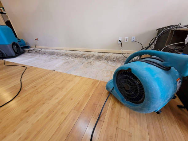 Professional Basement Flood Cleanup technician working in Douglas, WY